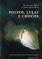 Rosa, Rui Afonso e Reis, Carlos Sousa | POLVOS LULAS E CHOCOS
